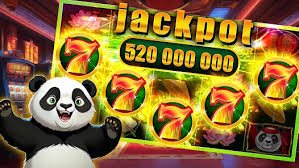 ময়মনসিংহে 66bet স্পোর্টস বেটিং – মোবাইলে ক্রিকেট ও ফুটবল